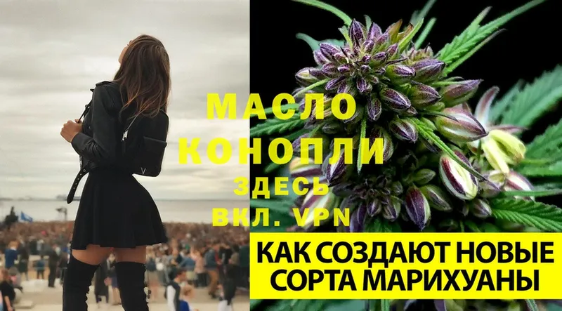 ТГК THC oil  omg онион  Каменногорск 